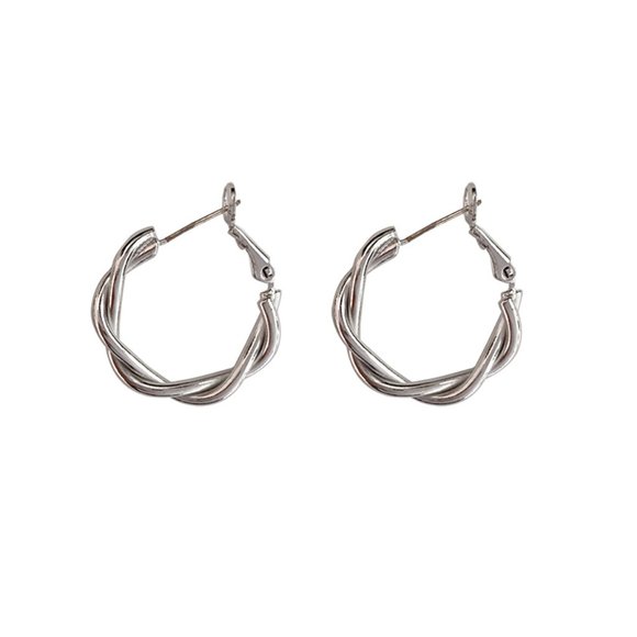 Twisted Braid Wire Metal Earrings - Picture 11 of 16